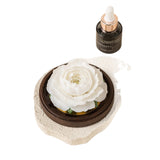 Load image into Gallery viewer, Handmade Porcelain Flower Fragrance Gift Set