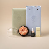 Load image into Gallery viewer, Handmade Porcelain Flower Fragrance Gift Set